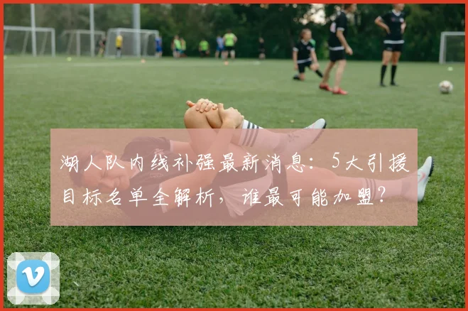 湖人队内线补强最新消息：5大引援目标名单全解析，谁最可能加盟？